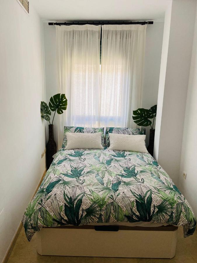 Paloma Suite Solarium Centro Historico Málaga Exteriör bild
