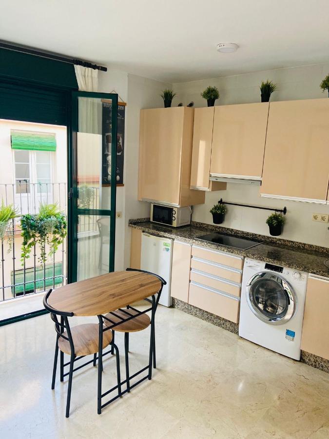Paloma Suite Solarium Centro Historico Málaga Exteriör bild